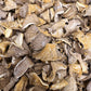 Austernseitling – geschnittene Pilze (30 g)