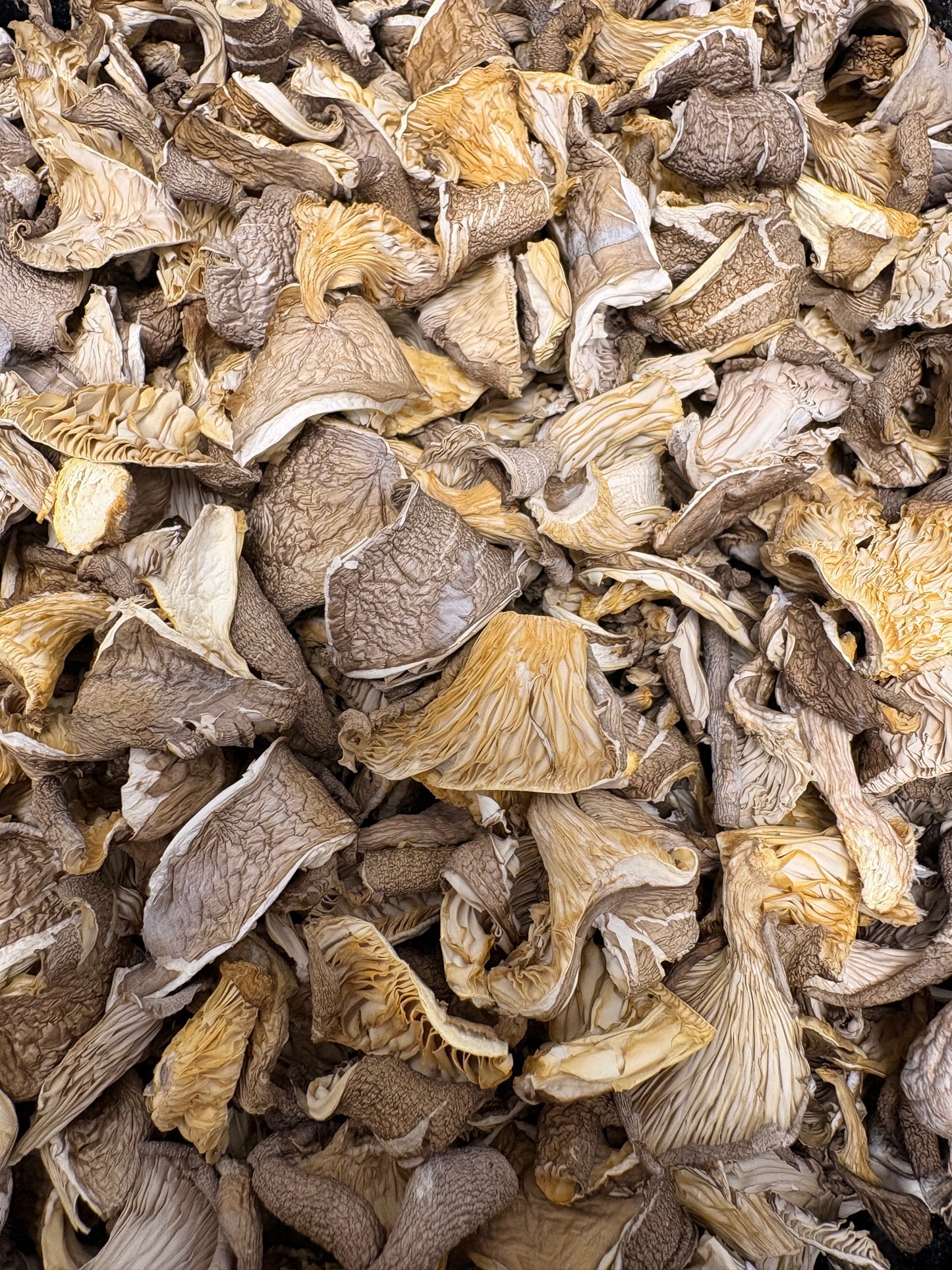Austernseitling – geschnittene Pilze (30 g)