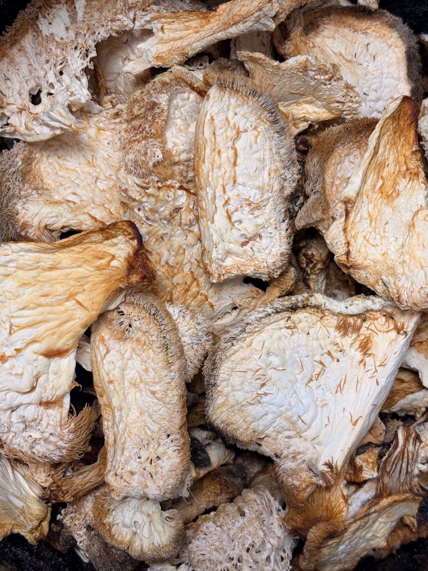 Igelstachelbart – geschnittene Pilze (30 g)